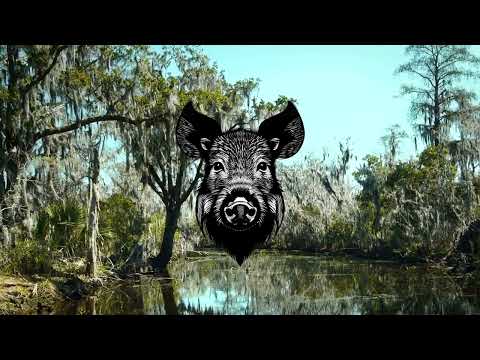 Jordan Tupper Night Hog live performance