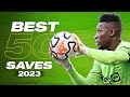 Best 50 Goalkeeper Saves 2023 | HD