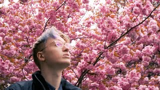 Erwacht Lyrics English Translation