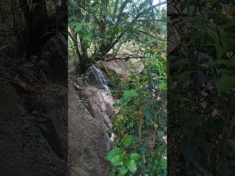 Salto del tigre. Achiras  Córdoba