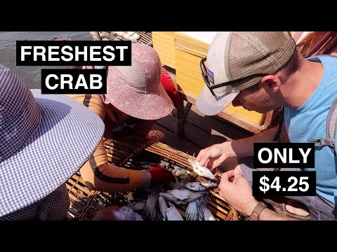 MUST DO Day trip from Kampot | Kep Crab Market