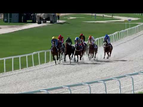 2018.09.09. 02. futam - BADEN - BADEN HENDIKEP (III.o.) (szintetikus pálya)