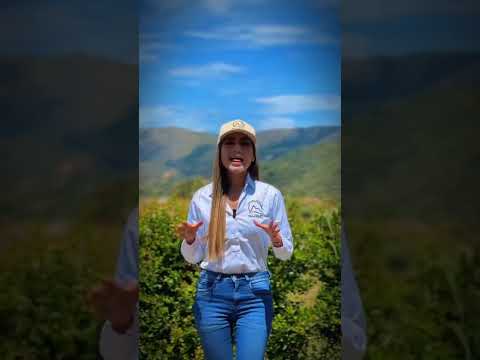 Presentacion proyecto Valles del Sol