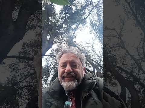 Vasco e Ligabue, scontro tra titani secondo Chatgpt