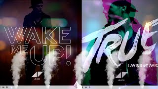 Wake Me Up vs. Lay Me Down (Avicii Tomorrowland 2013 Mashup)