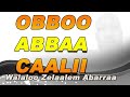 Obboo Abbaa Caalii Walaloo Zelealem Aberraa