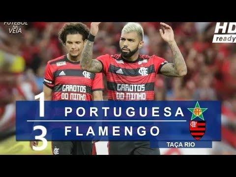 Portuguesa -RJ 1 x 3 Flamengo - Melhores Momentos
