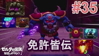 ねむり道場最後の試練じゃ！【ゼルダの伝説知恵のかりもの】#35