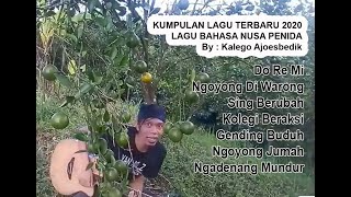 Download lagu Kumpulan Lagu Bahasa Nusa Penida Terbaru 2020 By Kalego Ajoesbedik mp3 Download lagu Kumpulan Lagu Bahasa Nusa Penida Terbaru 2020 By Kalego Ajoesbedik mp3