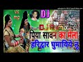 Piya Sawan Ka Mela DJ Song Remix