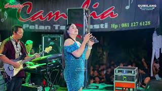 Download lagu CAMELIA MUSIC - PAST EVENTS - SELLY PRAWOTO - WEDDING DEVIA & ZADIT - BALONG KEMBANG JEPARA mp3