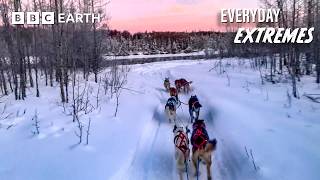 A Day in the Life of a Husky Trainer | Everyday Extremes