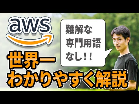 ハシブトアビの幼鳥