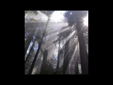 [free for profit] $uicideBoy$ x xavier wulf beat - "Pearl"