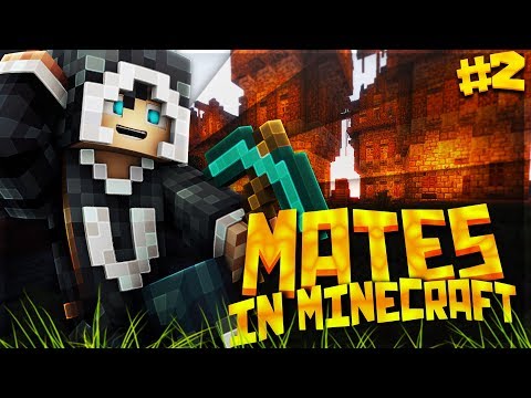 MATES IN MINECRAFT - IL MIO CASTELLO E LA FARM DI POLLI #2