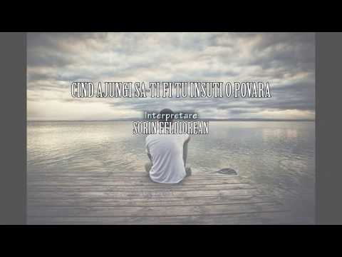 SORIN FELDIOREAN - Cind ajungi sa-ti fi tu insuti o POVARA |Official Lyric Video|