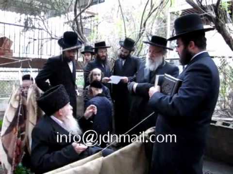 Viener Ruv Saying Birkas Ilonos Nissan 5772