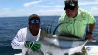 preview picture of video 'Costa Rica Fishing, Guanacaste, Billfish Safaris'