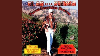 La Feria De Culiacan Lyrics English Translation