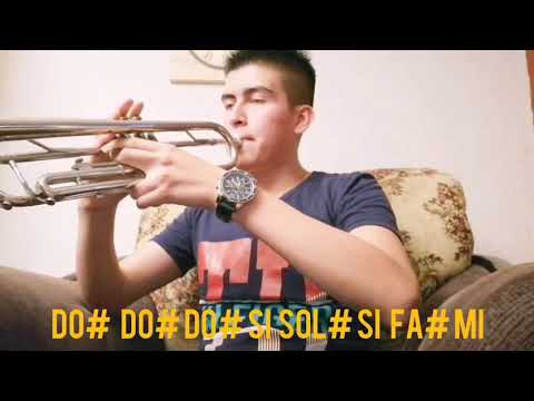 Avicii - Wake Me Up (Cover Trompeta)