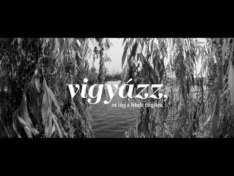 MAGASHEGYI UNDERGROUND feat. BECK ZOLI - Beszélek [Szövegvideó]