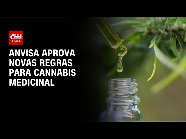 Anvisa aprova novas regras para uso da cannabis medicinal no Brasil | CNN 360º