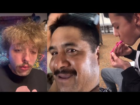 tiktoks that radiate weed energy [#32] - Fatally Stoned