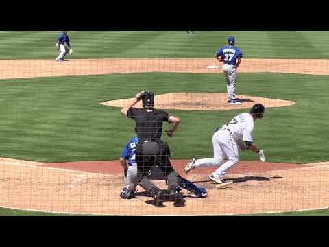 Detroit Tigers prospect OF Daniel Cabrera