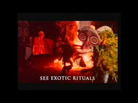 Thumbnail for P&O Fairstar (1993)