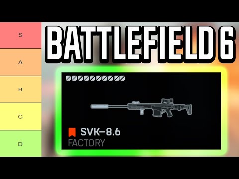 Welche BF6 DMRs sind die BESTEN?!