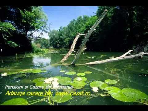 Cazare Copaceni, Valcea - Cazat.ro