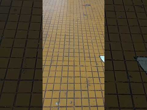 parroquia nuestra señora del valle !!! #tortugas #santafe #feedshorts