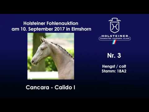 Nr. 3 v. Cancara - Calido I