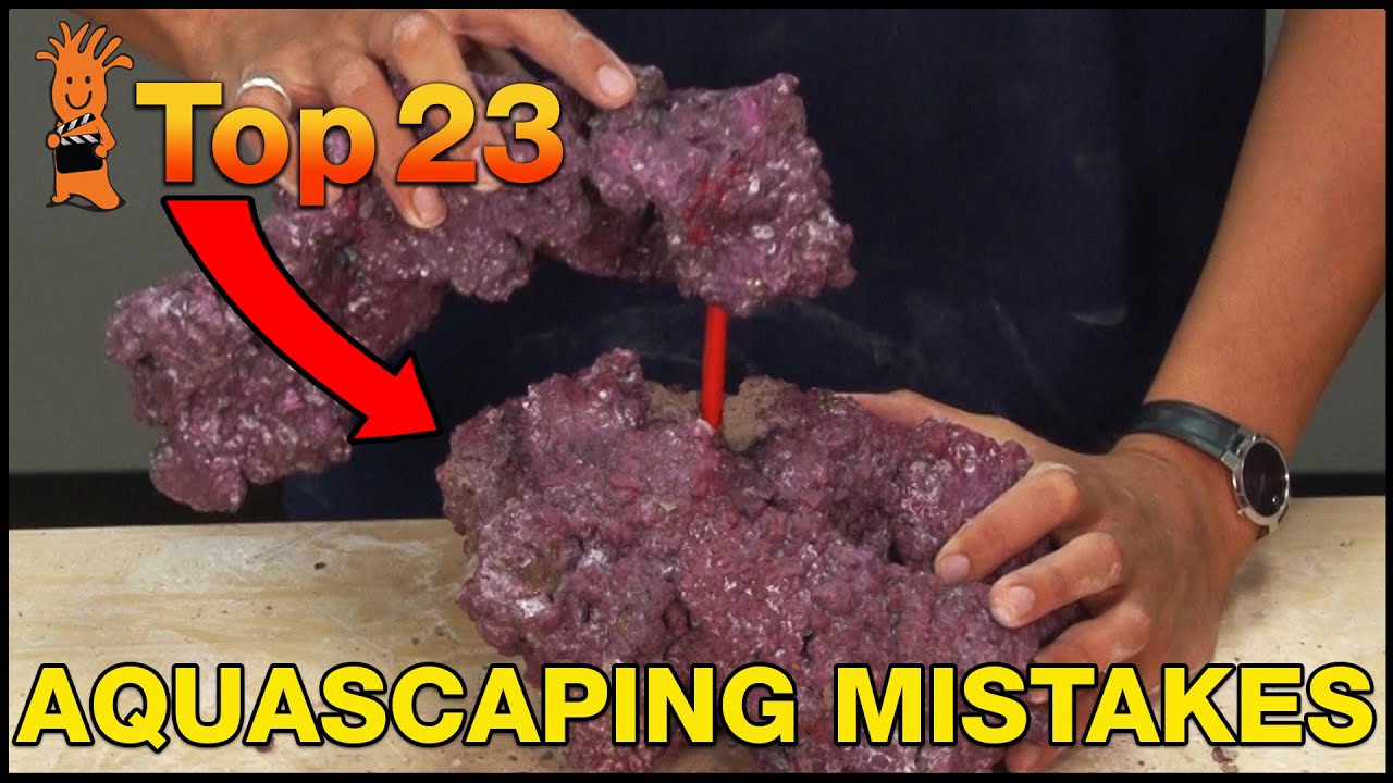 Reef Tank Aquascaping Mistakes: 8 Layout Errors Beginners Regret Later