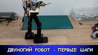 Робот на двух ногах. Учимся ходить))