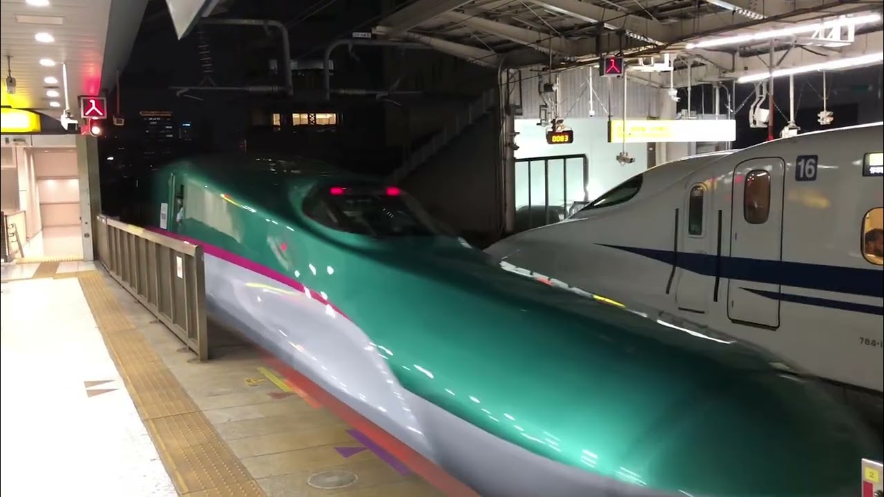 JR East Shinkansen and Conventional Trains at Tokyo Station (9/9/2025)