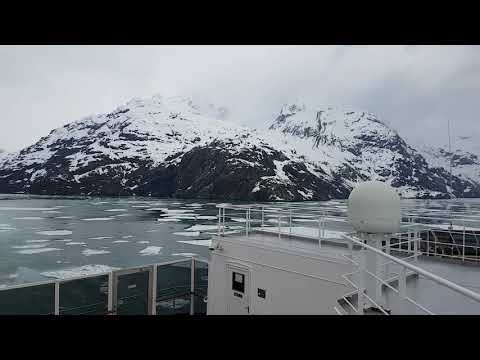 Westerdam - May 2018 in Glacier Bay(3)