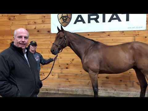 The Madden Method - Conformation Review (Coach)