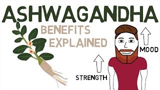 ASHWAGANDHA BENEFITS: What Ashwagandha Is And How 