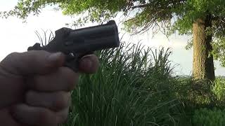Bearman .22lr - ( Clone of the Remington Mod. 95)