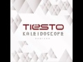 Tiesto Ft. Kele - It's Not The Things You Say (Tiesto Remix)