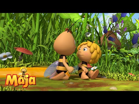 Willi rettet Maja - Die Biene Maja🐝🍯🐝