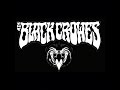 Black Crowes - No use Lying - 05/09/2013