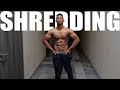 PAIN I'VE NEVER FELT BEFORE - 3 WEEKS OUT | SUMMER SHRED