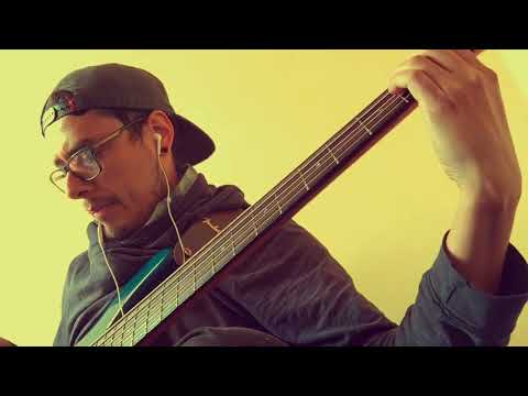 Te aprovechas de mi - Alberto Barros (Bass Cover)