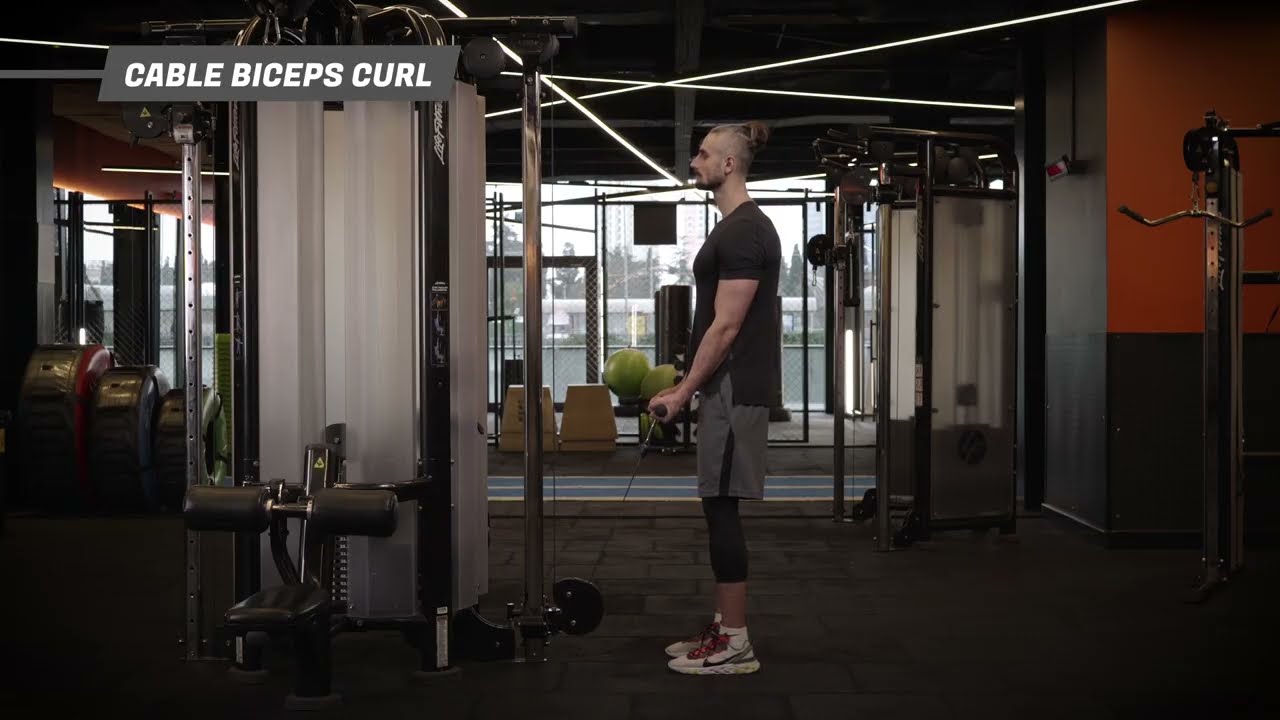 Cable Curl