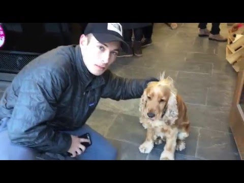 Spring Break in the U.K.