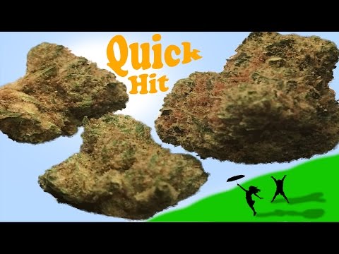 Quick Hit: Harmony Farms Chem Dawg