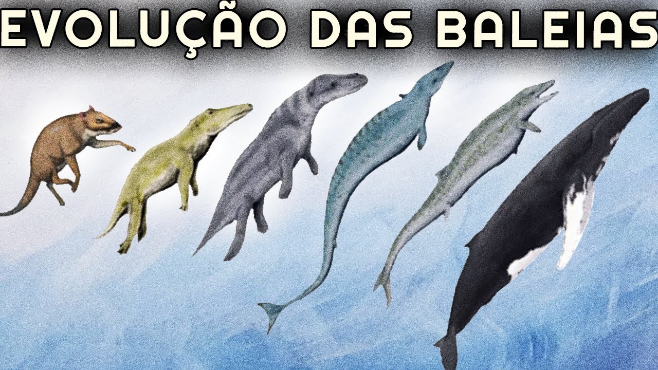 como CACHORROS viraram BALEIAS?