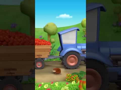 Der blaue Traktor 🚜